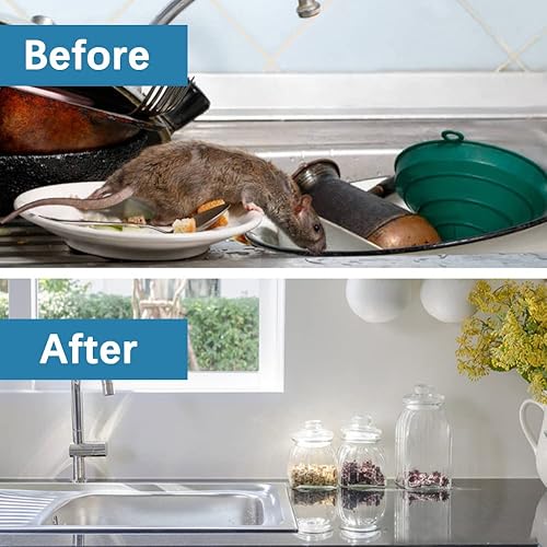 Miniatura 5 de SUAVEC Repelente de roedores, repelente de ratones, aceite de menta para repeler ratones y ratas, repelente de ratas, repelente de ratas para casa,