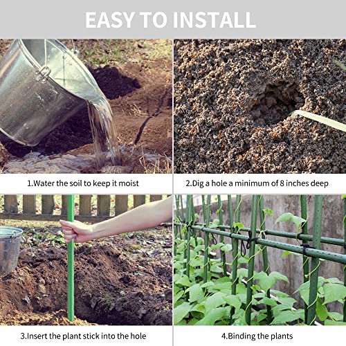 Pack of 25 Garden Stakes Sturdy Plant Sticks Plastic Coated Plant Stakes Support Metal Tomato Stakes for Cucumber, Strawberry, Beans, Trees (48 Inch) - Image 5