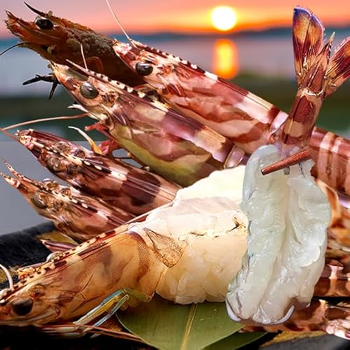 �ԊC�V ����3L�y���Y�Ⓚ�z�� �Ԃ��� 250g�i4�`5���j�F�{���V���Y �ۘa�� �ԃG�r �}���Ⓚ �{�B�꒼�� �h�g �V�N �N���}�G�r