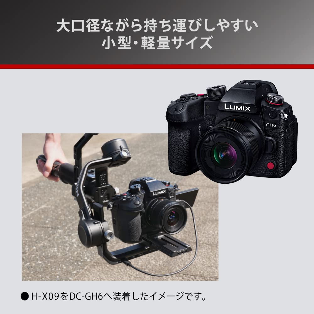 Amazon.com : Panasonic H-X09 Wide Angle Monofocal LUMIX Camera 
