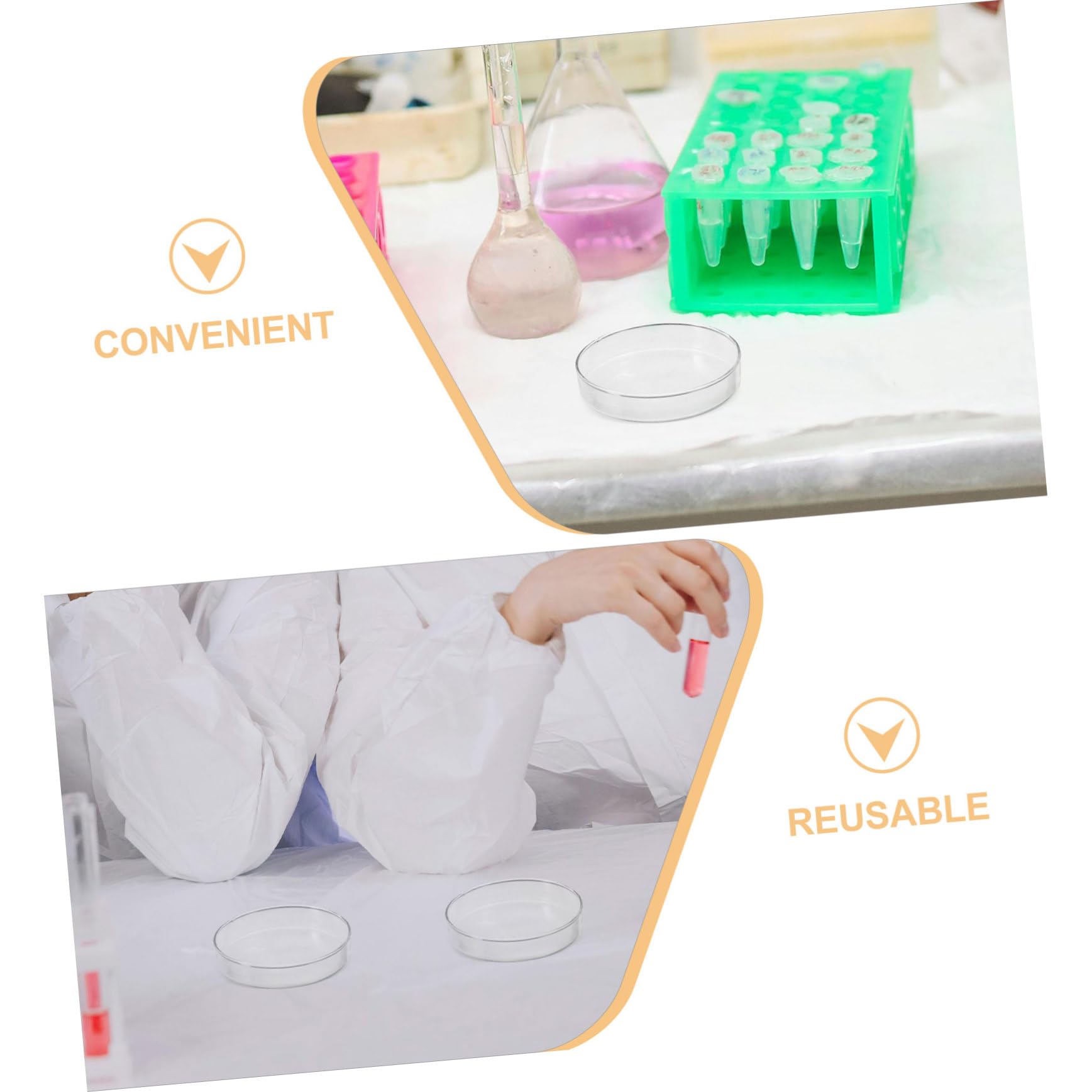 SHINEOFI 5 Placas De Petri Para Hongos Placas De Petri Para Experimentos Científicos Con Tapa Para Cultivo De Tejidos Para