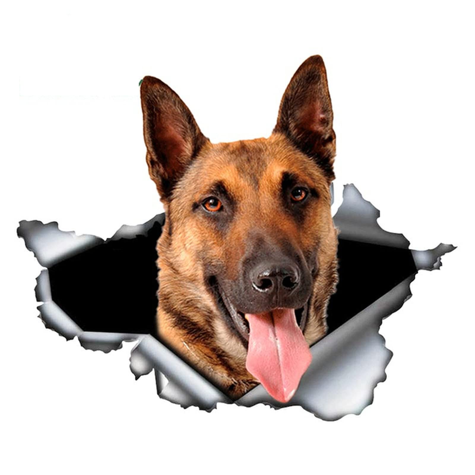 Sticker/ Waakbordje | Hier Waak Ik | Mechelse Herder | 15 X 10 Cm Herdershond Mechelaar Hond Dog Gevaarlijke Hond Afschrikmiddel Voor Binnen En Buiten 1 Stuk