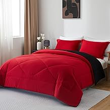 beeweed Couette 300GSM en Microfibre, Édredon Lit 2 Personnes 200x200 cm, Toutes 4 Saisons et Hiver pour Lit 140x190 160x200, Chaud Épais Garnissage 300g/m², Taie d'oreiller -Taille 50x80 cm
