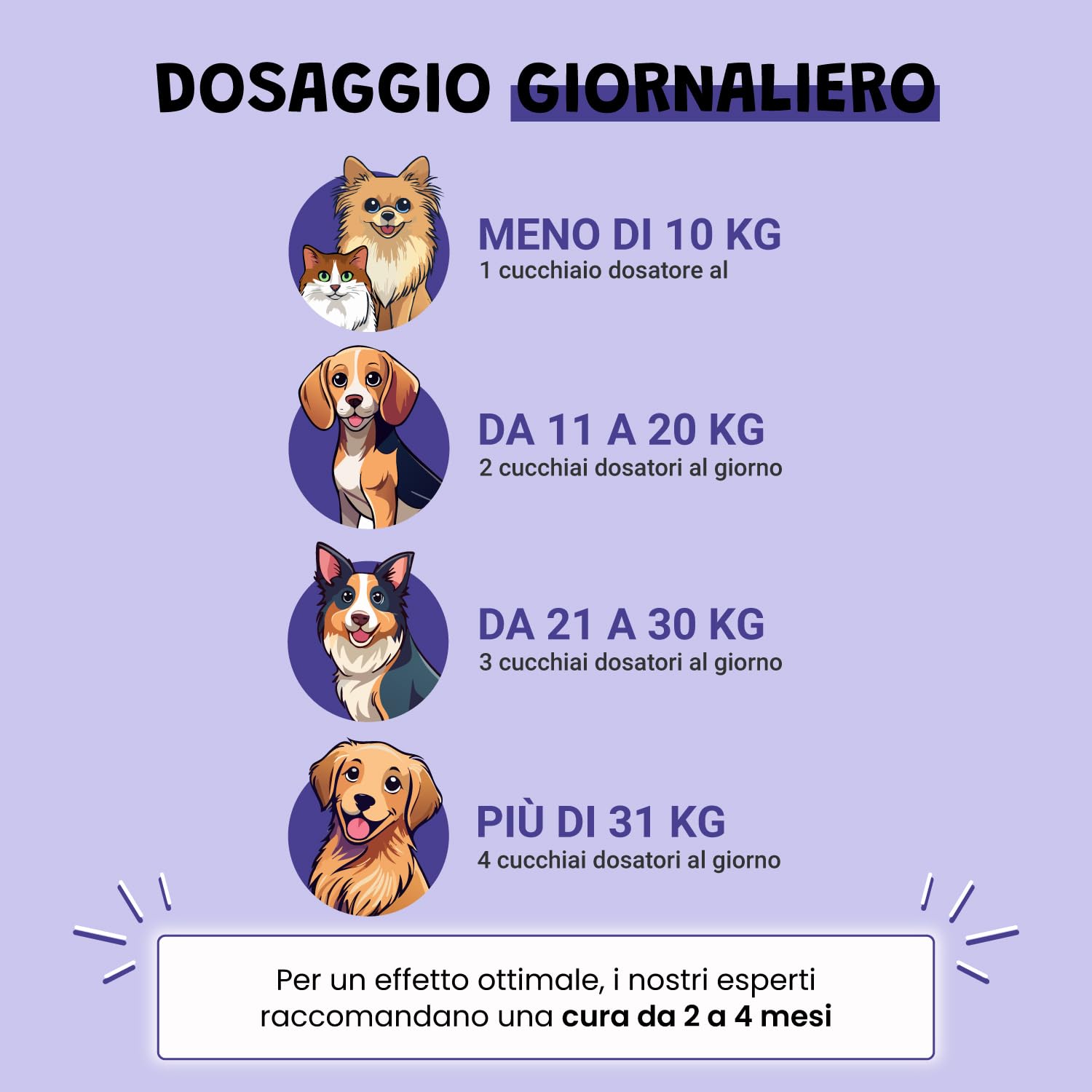 Vision 100 g – Integratore oculare naturale per cani e gatti | Mirtillo, Ginkgo, calendula | Antiossidanti e microcircolazione | Supporto per il comfort visivo | Appetito al fegato di pollo
