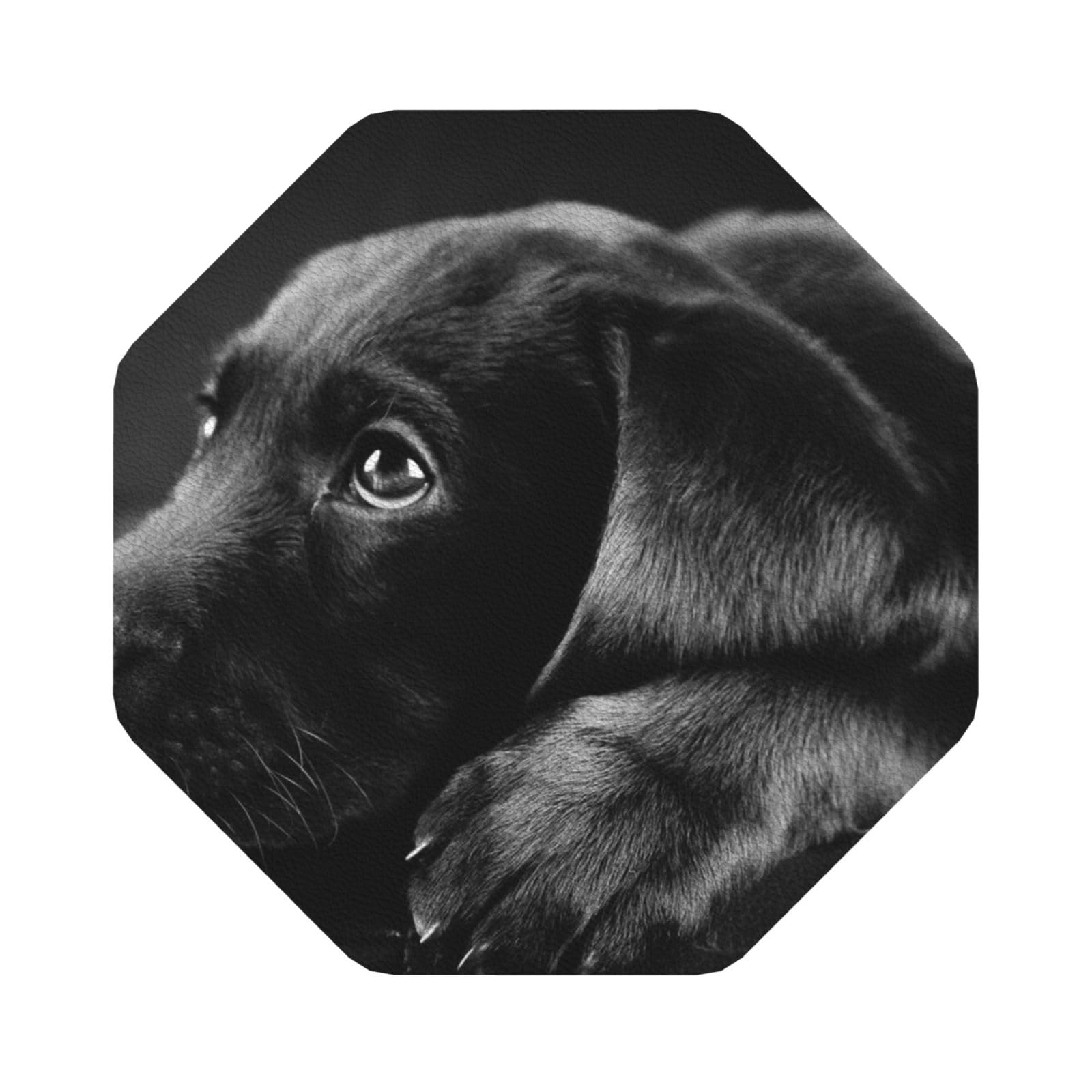 puppies dog PU Leather Coasters Set of 6 Octagon Drink Coasters