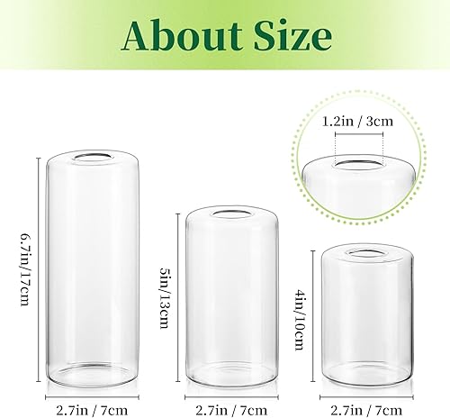 Miniatura 5 de Hewory - Jarrones pequeños de cristal para centros de mesa, 12 jarrones transparentes soplados a granel, moderno juego de mini jarrones cilíndricos