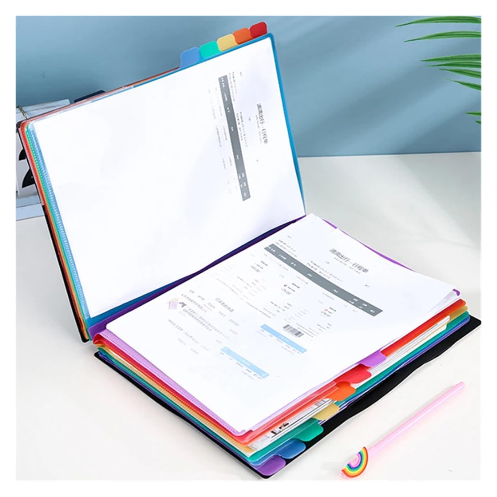 Organizer per documenti con elastico Cartella portadocumenti A4 con cordino Arcobaleno | Indice di classificazione di identificazione con 12 divisori Documento di archiviazione del prodotto( )
