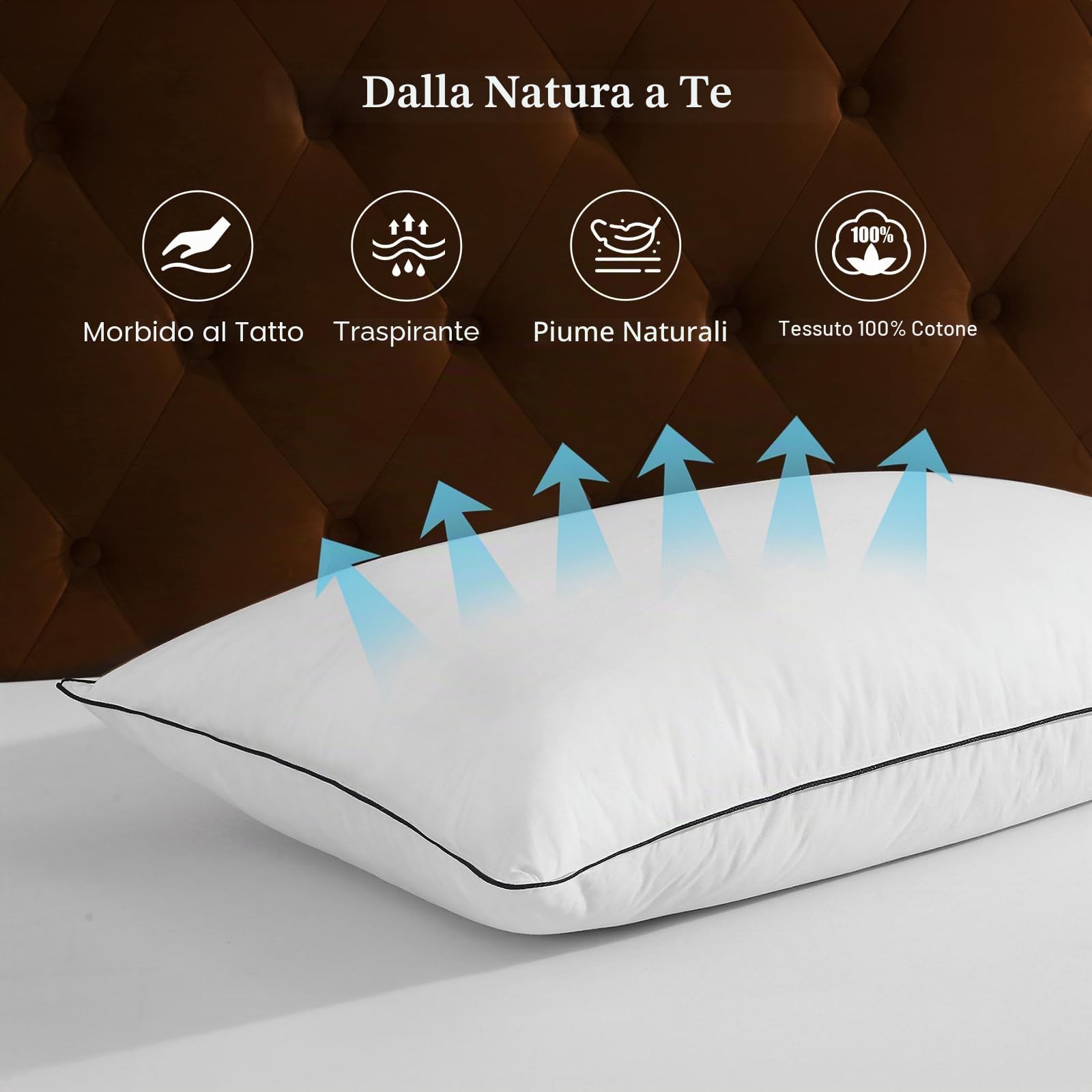 DWR Luxury Cuscino in Piuma d'oca,Piume d'Oca Bianche Naturali，Morbido Cuscino Letto,Copertura in cotone organico Set di 2,40x80cm
