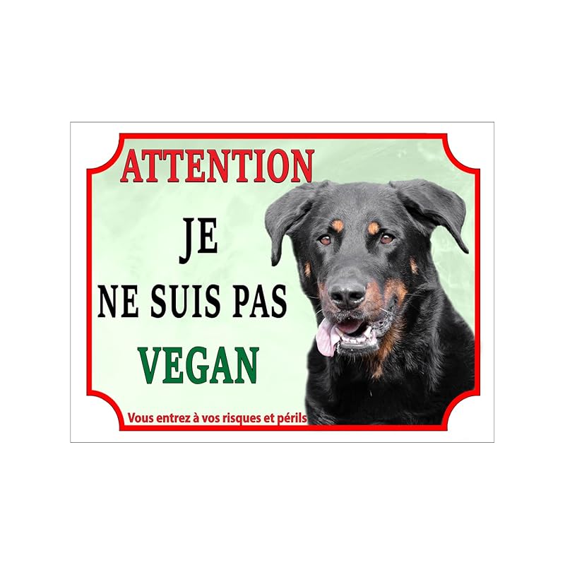 Plaque humour Attention au Chien Berger Australien merle bleu je ne suis pas vegan