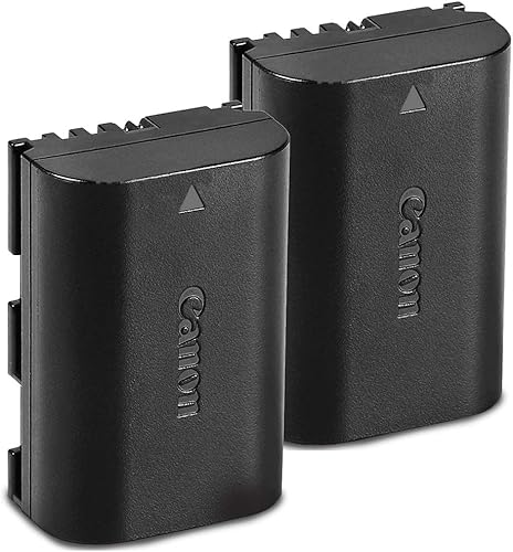 Canon Paquete de 2 baterías LP-E6N para Canon EOS Digital SLR 60D, 70D, 80D, 5DMKII, MKIII, Mark IV, 5DS 5DS R, 6D, 6DMKII, 7D, 7DMKII, EOS R,