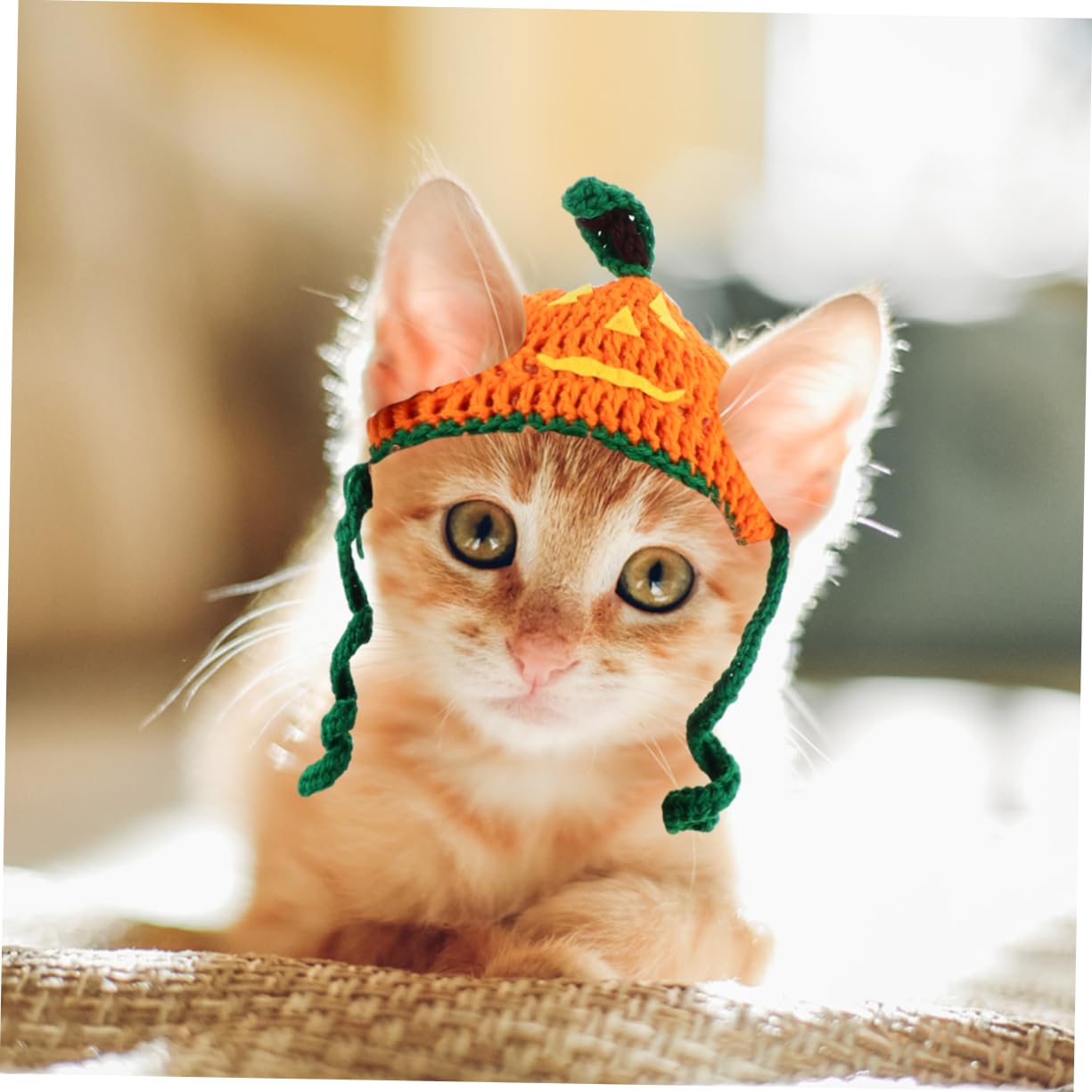 BESPORTBLE 3 Pz cappello di zucca costume da cane berretto di zucca cappello da cane abbigliamento per animali domestici mantello per animali domestici Halloween capi di abbigliamento filato