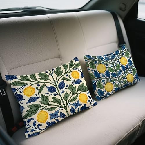 NbVJo[ 50x80 cm 2 Zbg ` xxbg Jo[  \t@[ NbV  ʃfUC t  H ~   zc BWbp[ I[V[Y s[P[X \t@  蕨 w-733