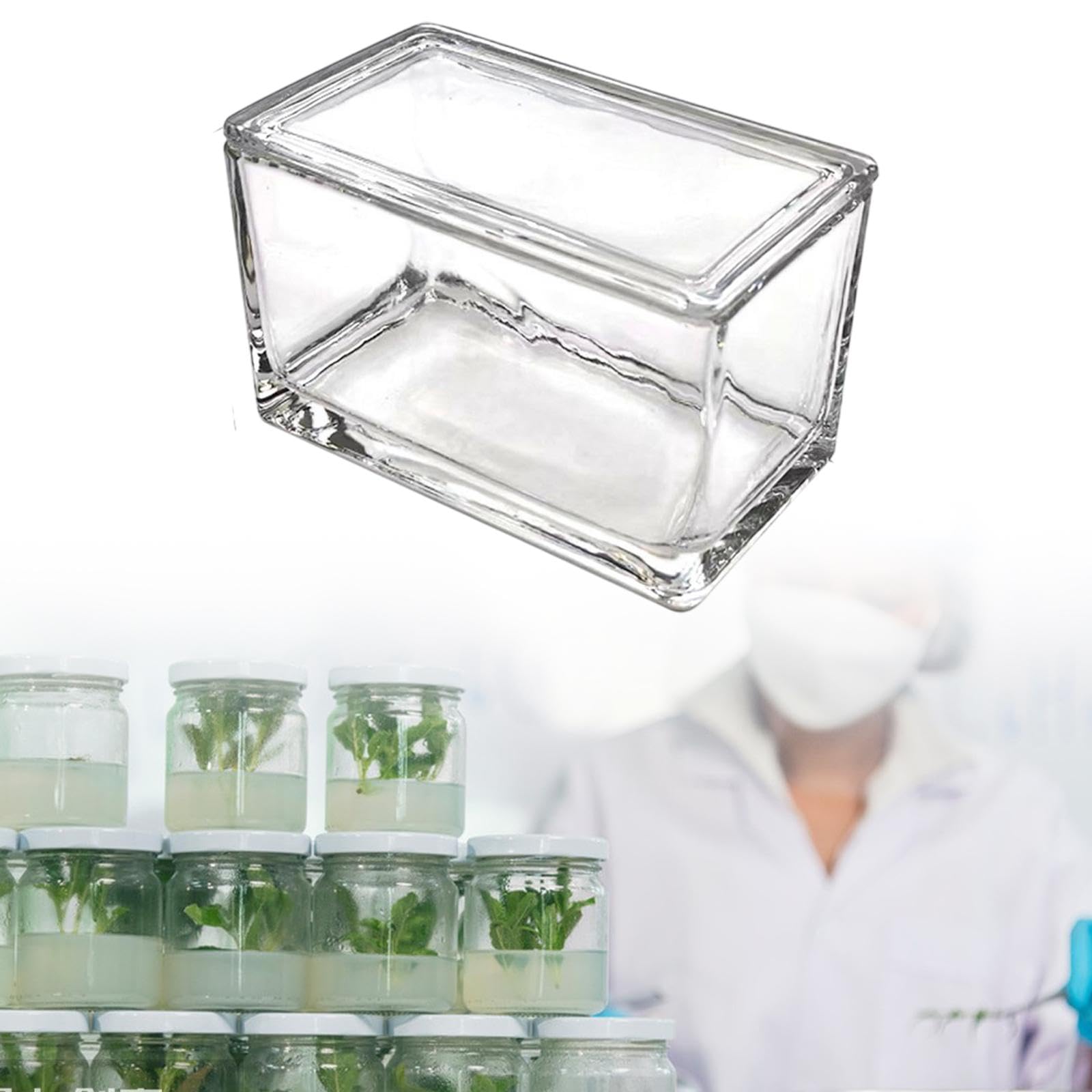 Sharplace Rechteck Laborglas Färbungsglas Lab, 950 Ml