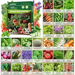 30 Heirloom Vegetable Seeds for Planting, 12,000+ Garden Seeds – Vegetable, Herb, Fruit Seeds – Survival Seed Vault with Tomato, Basil, Lettuce, Bean, Pepper, Squash and More