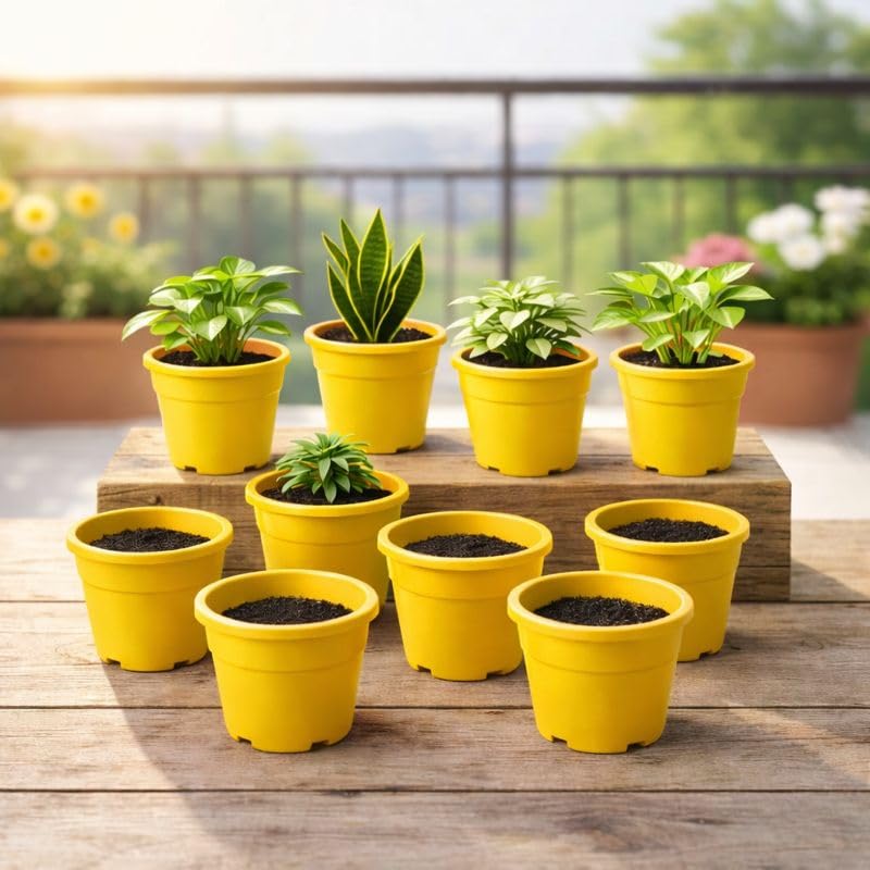 Image of Indian Gardens - 4 inch Indoor (Pack of 10) Plastic Small Colour pots | Plastic Plant Pot for Terrace Garden (Yellow)