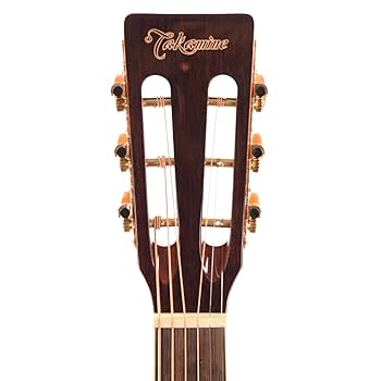 Amazon.com: Geartree Takamine GY51E New Yorker Acoustic