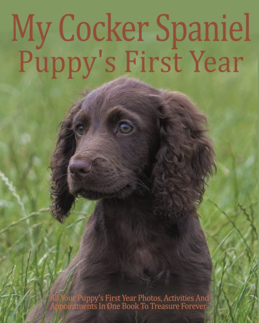 My Cocker Spaniel Puppy's First Year: All your Puppy's First Year Photos, Activities and Appointments in one book to Treasure Forever, Dogs Memory ... chart and pampered pup appointments etc.