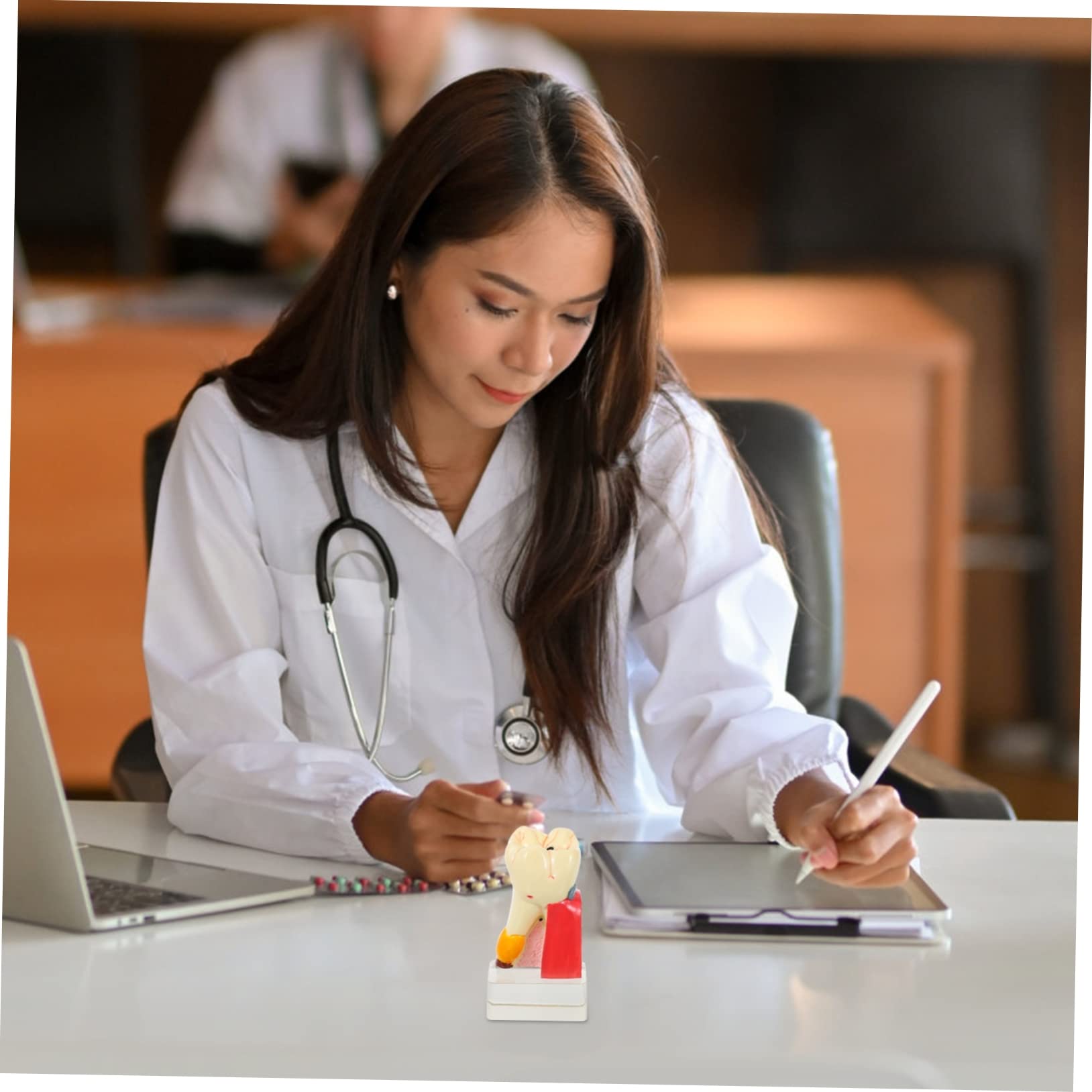 Modello Denti Anatomico Didattico in Resina Beige per Demo | Portatile e Leggero, per Insegnamento Odontoiatrico, Modello Patologico per Studio e Presentazione