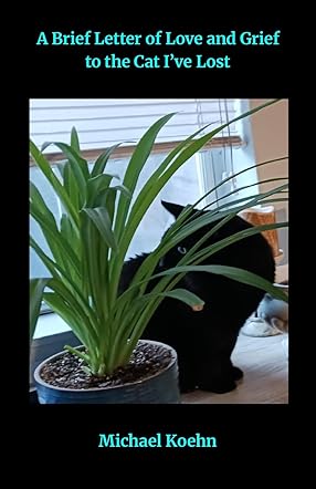 A Brief Letter of Love and Grief to the Cat I've Lost