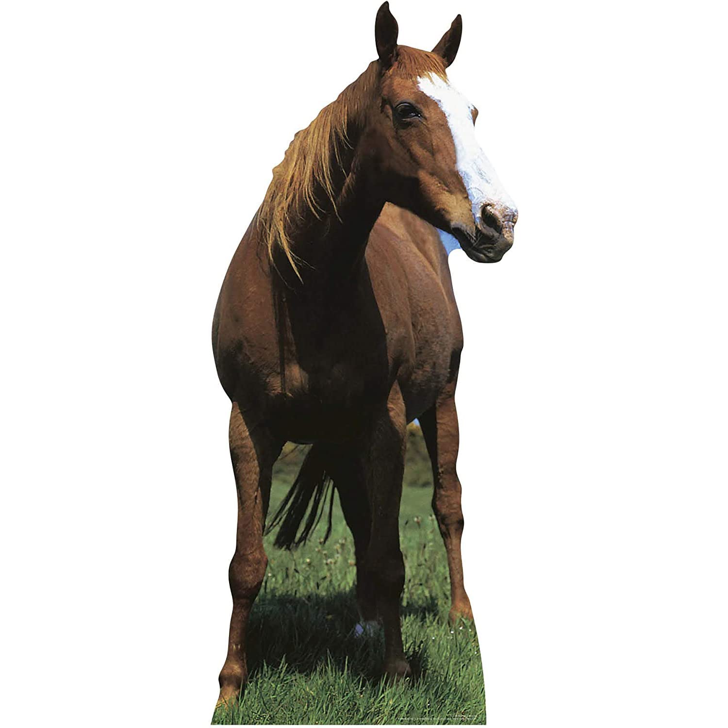 Wildlife/Animal Lifesize Cutouts Horse (Mustang) Standing Cardboard Cutout
