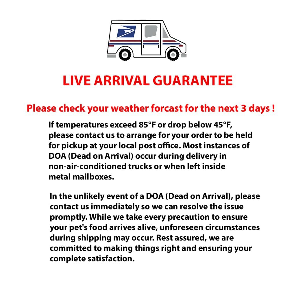 Dubia Roaches – Food for Reptiles, Tarantulas, Bearded Dragons, Geckos, and Insect-Eating Pets – High Protein, Easy to Digest, Healthier Alternative to Crickets (1.25", 500 Count)