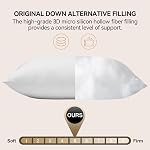 LAVANCE 2 Pack Luxury Hotel Fluffy Queen Sleeping Pillows | Brand New 3D Hollow Fiber Filling Brings Cloud-like Soft Comfort, Honeycomb Embossed Cover, Queen Size 20"x30"