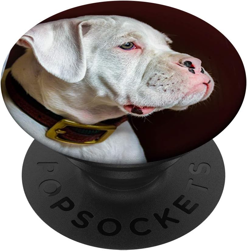 White Boxer Gift- Dog's Life