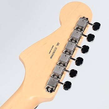FERNANDES FHM- 2110ペア Masahallのフォトギャラリー「フェルナンデスのギターカタログ
