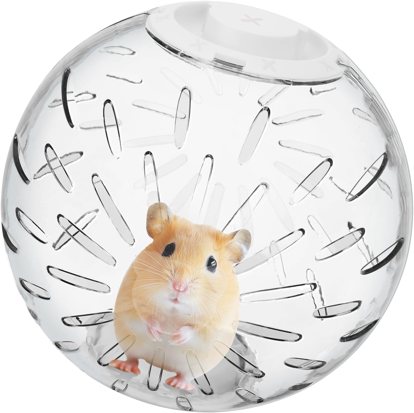 Hamster Exercise Ball, 7.9 inch Running Ball for Hamsters, Small Animal Pets, Rats & Gerbils White