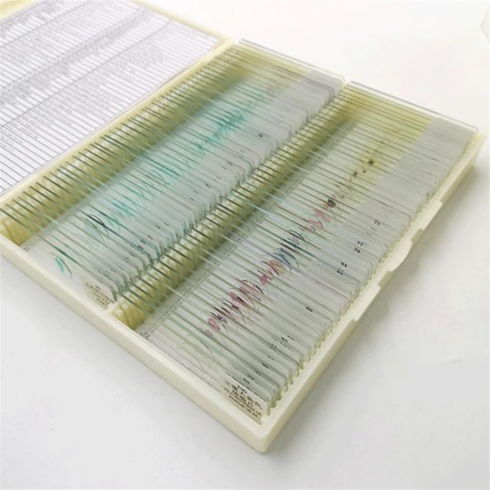 Accessori per microscopi Vetrini for microscopio Vetrini for microscopio biologico Vetrini for campioni in vetro Vetrini for microscopio preparati for la formazione degli studenti Durata e prestazioni