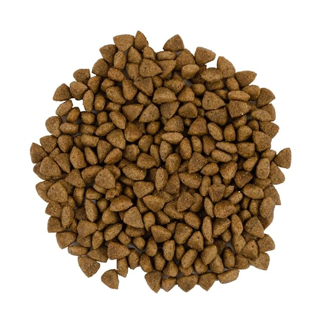 Foto 2 de 4 de SAVORY Gatos adultos Gourmand Fresco - Alimento holístico para gatos Alimento seco