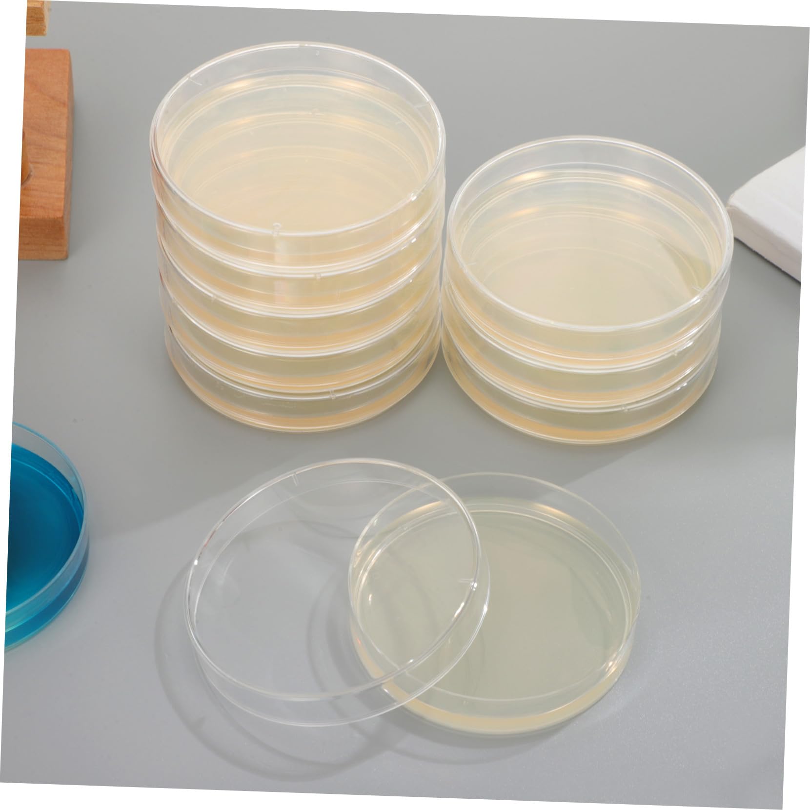 Piastre Petri con Agar Nutriente Precolato 20 Pezzi per Laboratorio | 7cm, Monouso per Ricerca e Scuola, Supporto per Coltura Microbiologica, Formato Pronto All'uso