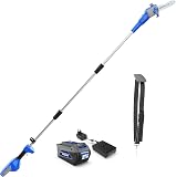 WILD BADGER POWER Pole Saw Cordless 40V 8''