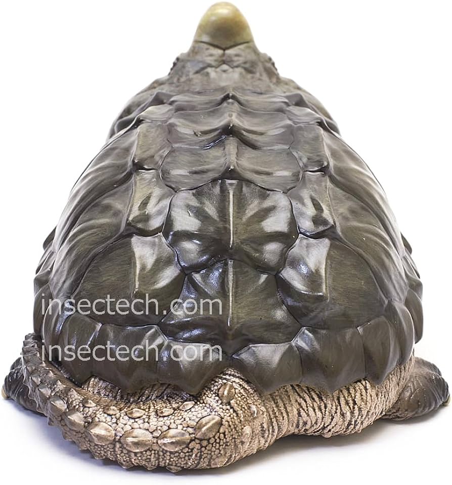 Amazon.co.jp: 【動物の惑星】ワニガメ フィギュア完成品