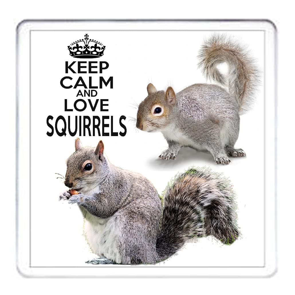 Kazmugz Grey Squirrel Coaster, Keep Calm And Love Squirrels, Matching Squirrel Ceramic Mug Available. Gift For Birthdays, Easter, Christmas Or Any Other Celebration. Can Be Personalised.