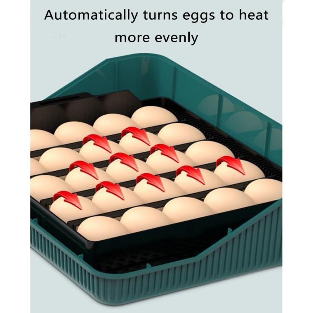 Incubadora de Huevos 25 Automática con Giro Automático 360°, Pantalla LED Inteligente Temperatura y Humedad, Incubadora para Pollos Patos Gansos, Uso Doméstico Educativo y de Laboratorio