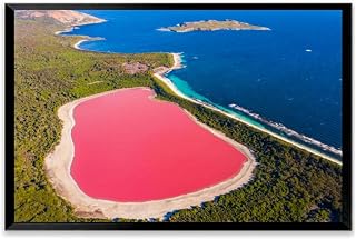 Pink lake aerial view middle island surrounded blue ocean Black Framed Canvas Wall Art for Living Room Bedroom Kitchen Bathroom Prints Pictures Wall Decor Posters Painting Artwork 12x16