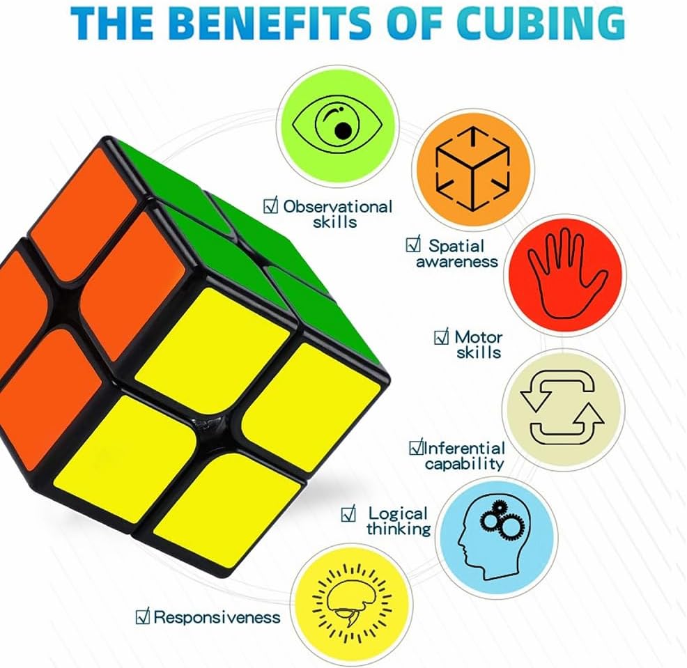 Shengshou 2x2x2 Puzzle Cube, Black