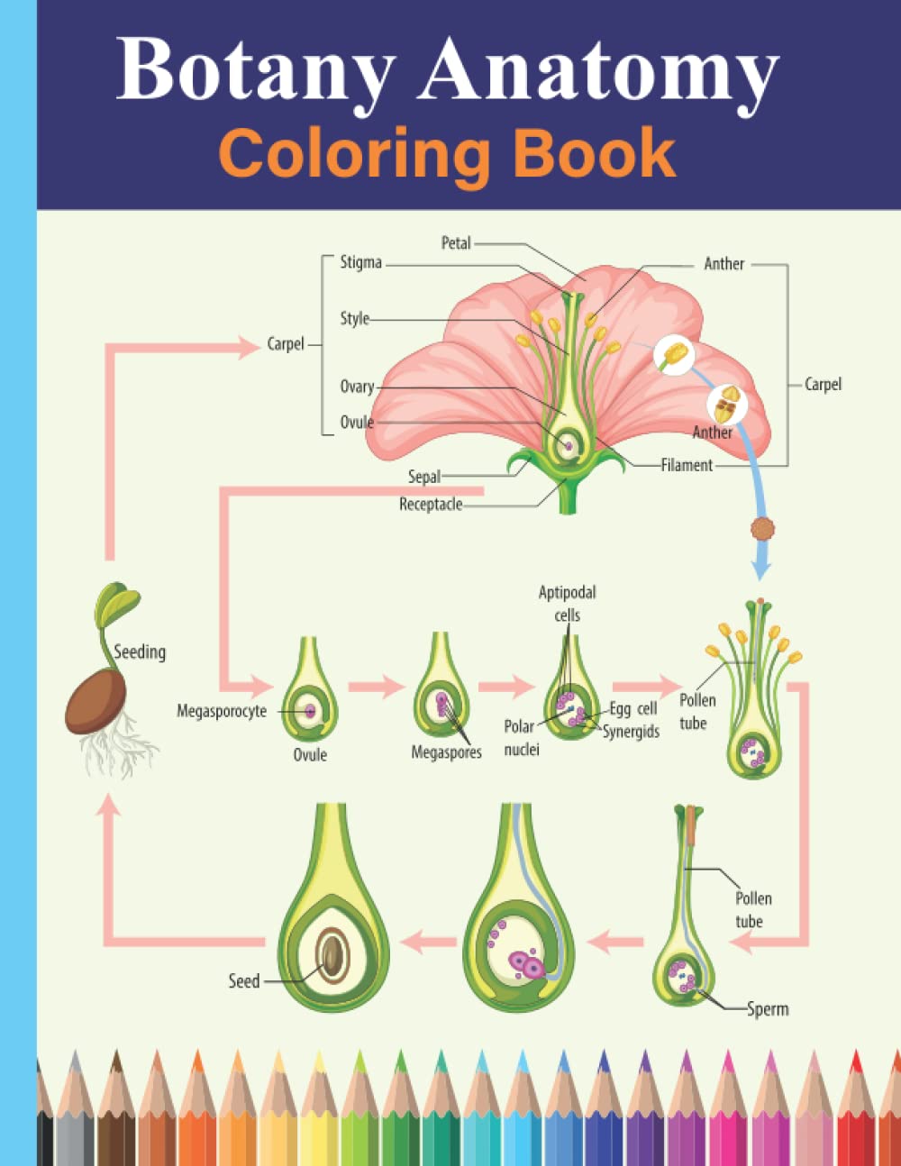 Botany Anatomy Coloring Book: This coloring book is full of happiness, smiling, beautiful For anyone who love Botany Flowers, Leaves, Trees ,Plant ... makes a nice gift for kids ,Boys and Adults