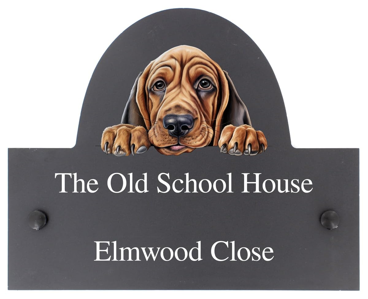 Targhetta personalizzabile con nome o numero civico in ardesia con cane Bloodhound – 25 x 20 cm