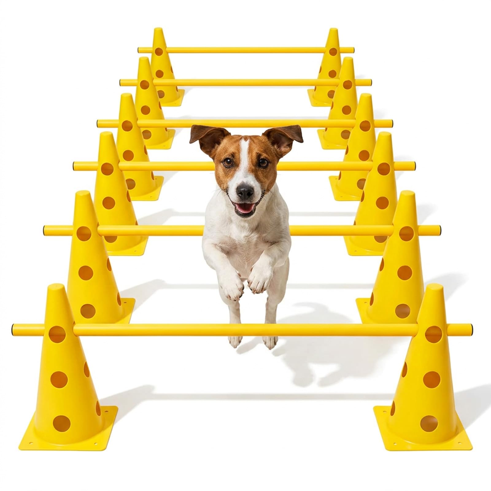 Agility-Ausrüstung für Hunde, 6-teilig