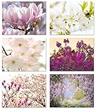 Spring Blossoms Blank Note Cards - Flower Greeting Cards with Envelopes - 6 Unique Designs - 5.5
