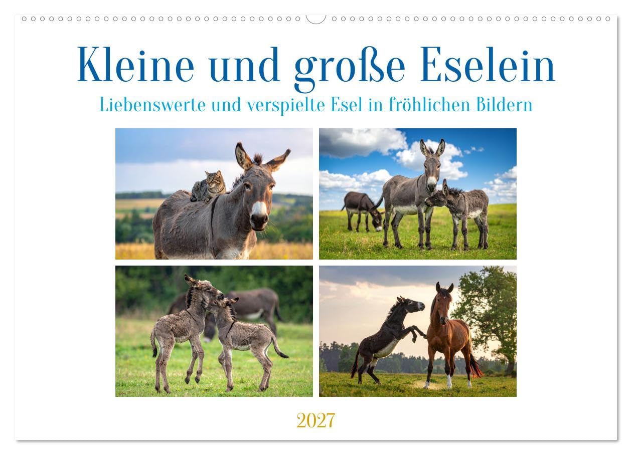 Kleine und große Eselein (Wandkalender 2027 DIN A2 quer), CALVENDO Monatskalender: Weiche Ohren, sanfte Seelen, lustige Stimmung - so sind Esel (CALVENDO Tiere)