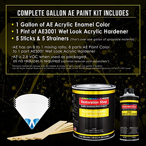 Restoration Shop RSP AE1203-KIT-M Dove Gray Acrylic Enamel Auto Paint - Complete Gallon Paint Kit - Professional Single Stage High Gloss Automotive thumb #1