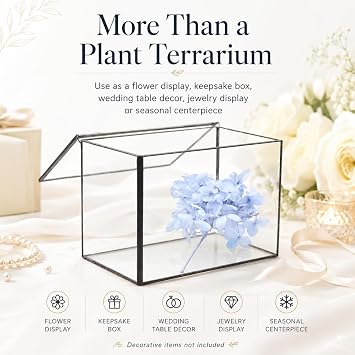 Small Glass Terrarium with Lid, Rectangle Geometric Planter Box, Clear Glass Container for Succulents, Moss, Air Plants, Ferns, Cactus, Tabletop Plant Display Decor, 6.7 x 3.9 x 4.7 in