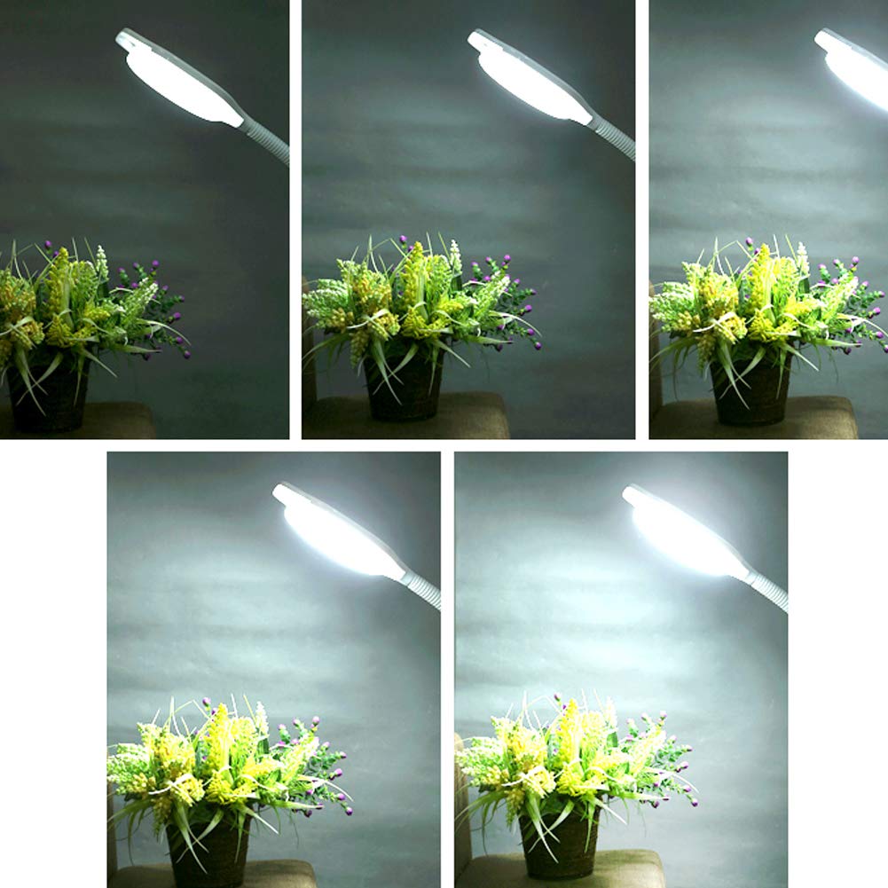 16X Ingrandimento illuminato Salone di bellezza Lampada per tatuaggi a LED Lampada di bellezza Lampada da terra con lente d'ingrandimento a luce fredda Tatuaggio per unghie, Lampada senza ombre La l