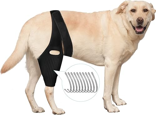 ABMOS Rodillera para perro rodillera para perros ACL con 10 estabilizadores laterales dislocación de la rodillera artritis mantiene la articulación
