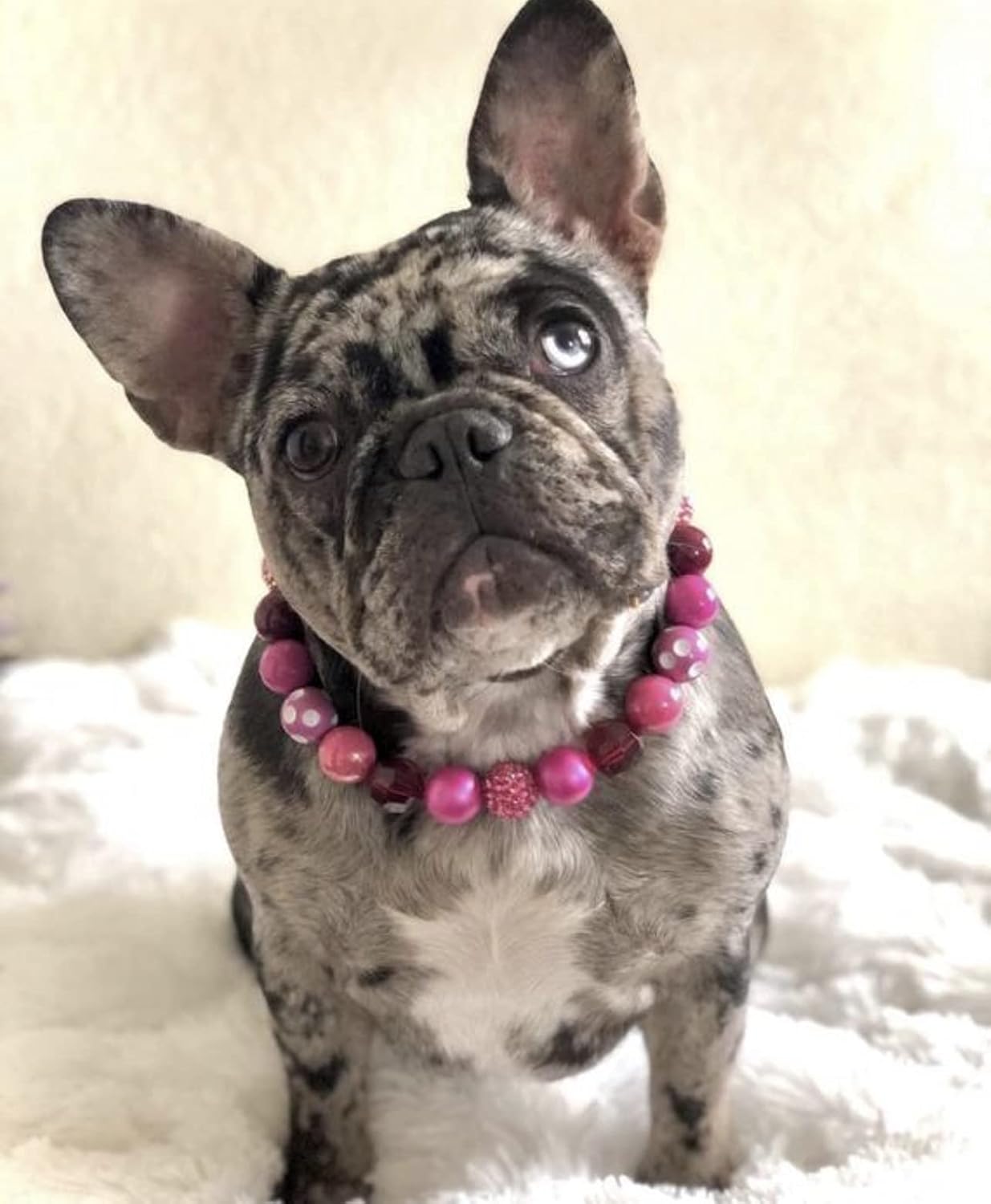 "Fuchsia Fusion" Fuchsia and White Decorative Beaded Collar/Necklace for Pets Size Small Medium Large - Handmade Dog Pet Collar/Necklace by Columbine Ridge Beaded Treasures (Medium)