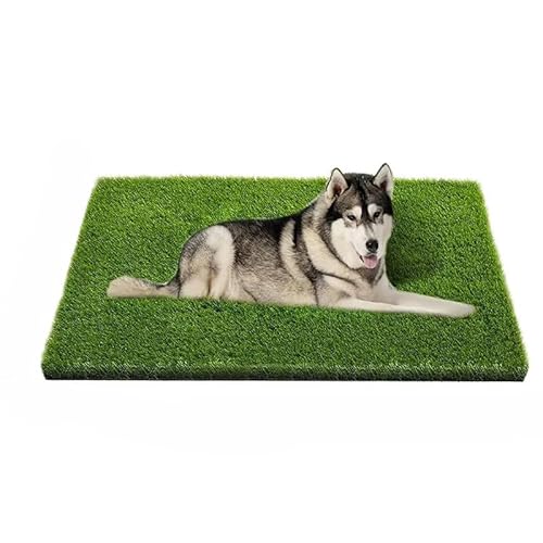 lH tFCNOXhA}bg ppbh ybgŉOt[ODemanca vtFbVipgCg[jOO rt^pŐ}bg (122x82cm)