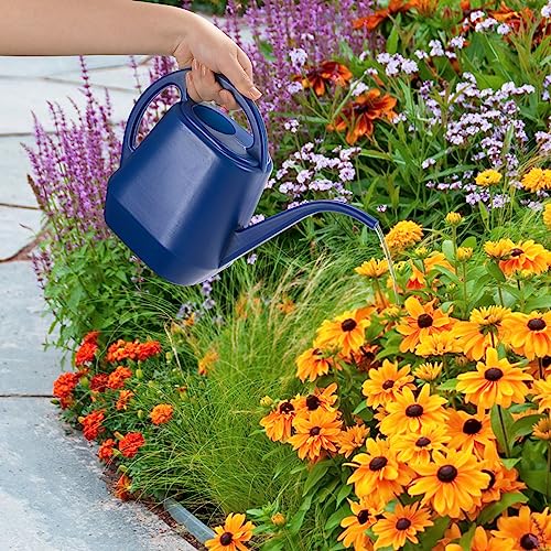 Fasmov Watering Can, 1/2 Gallon Plastic Watering Cans with Comfortable Handle, Small Garden Watering Cans Long Spout for Indoor Outdoor Watering Plants, Blue